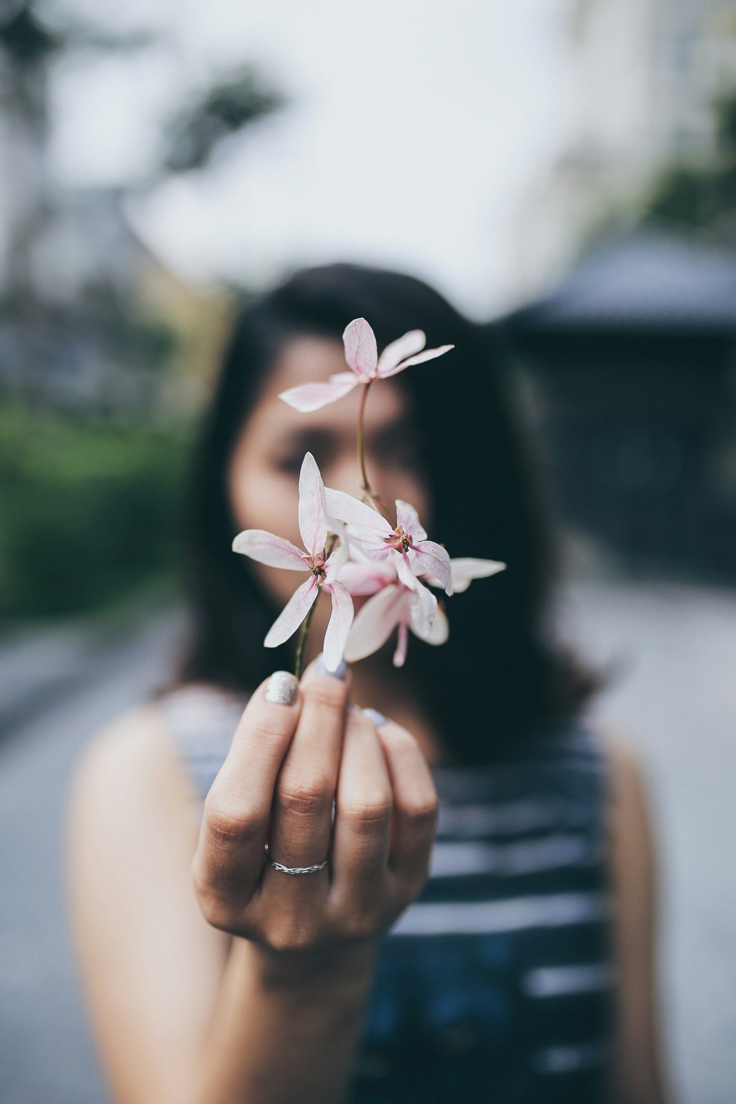 Fleurs blanches, symbole de floraison
